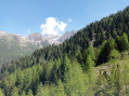 for&ecirc;t du Bor&eacute;on