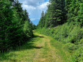 Boucle en forêt autour de Prapoutel Boucle en forêt autour de Prapoutel