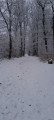 Forêt du Salbert