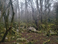 Grotte Malarode en boucle