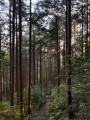 F&ocirc;ret Kihoku