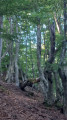 Monte San Petrone à partir de la Bocca di u Pratu