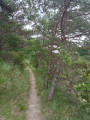 Le Taillefer depuis l'Escoulin Le Taillefer depuis l'Escoulin