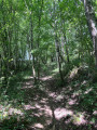 f&ocirc;ret