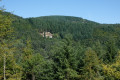Forêts sous Devesset