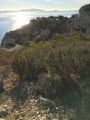 Fort de Figuerolles