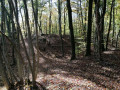 Fortifications 1/2 (oppidum proto-historique)