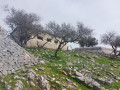 Fortifications à la pointe de Siricocca