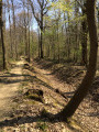Rigole