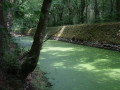Sur les terres de Diane de Poitiers Sur les terres de Diane de Poitiers
