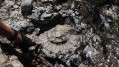 FOSSILE - trace d'une ammonite