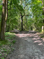 Fourche du point 14