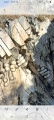 Fragment de sculpture au lac de Barterand