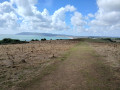 From Shanklin to Bembridge