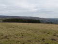 From Mount Pleasant head toward the plantation were the walls would converge