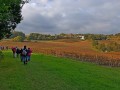 Fronsac Fronsac