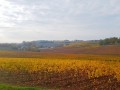 Fronsac ses châteaux et ses points de vue Fronsac ses châteaux et ses points de vue
