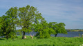 Frühling an der Schlei