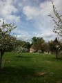 fruitiers en fleurs devant le pigeonnier