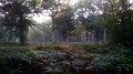 Bornes armoriées en Forêt de Rambouillet