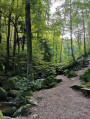 Panoramen rund um Sasbachwalden