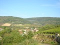 Gamay Gamay