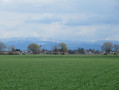 À travers champs et forêts autour de Gambsheim et de Kilstett À travers champs et forêts autour de Gambsheim et de Kilstett