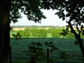 Gamme de verts