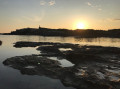 Entre terre et mer à Six-Fours-les-Plages