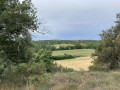 Dans la garrigue de Lussan Dans la garrigue de Lussan