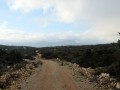 Garrigues