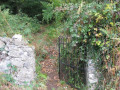 Gate in Cregagh Wood