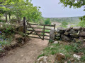 Gate to the woods