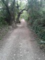 Gaudre de Valrugue