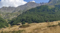 Le long du Gave de Brousset depuis Soques