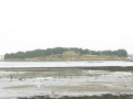 Gavrinis