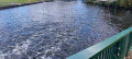 Woodman circular via Bluebell Bridge and Orton Lock, Peterborough, Cambs