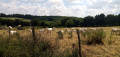 Boucle à l'Ouest d'Archigny