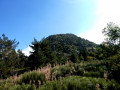 Gerbier du Jonc
