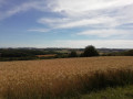 Gers céréalière