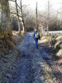 Givre matinal
