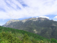 Glandasse