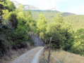 Glandasse