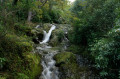 Glen River