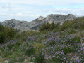 Le Gros Calan dans les Alpilles