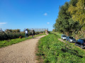 Wicken Fen Nature Reserve circular walk