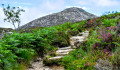 Goatfell from Hill Path