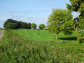 Boucle dans les champs vers le golf d'Hulencourt depuis Lillois-Witterzée