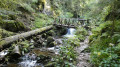 Gorge des Roitelets