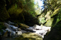 Gorge
